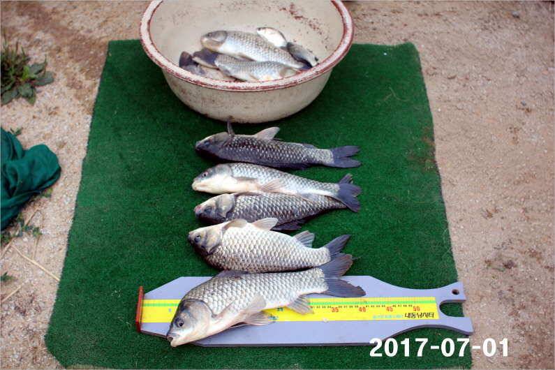 4짜 마릿수 조황 (유료터정보 - 유료터점주조황)