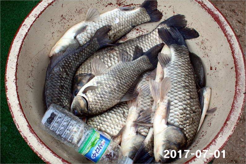 4짜 마릿수 조황 (유료터정보 - 유료터점주조황)