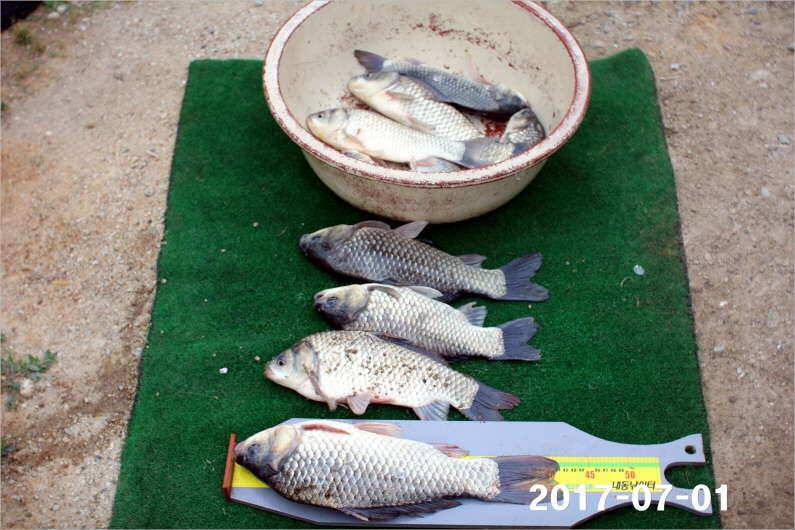 4짜 마릿수 조황 (유료터정보 - 유료터점주조황)