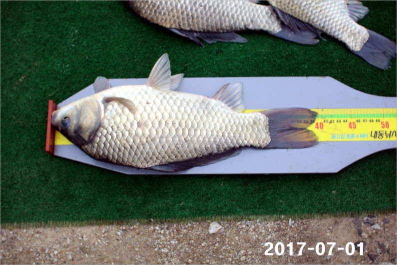 4짜 마릿수 조황 (유료터정보 - 유료터점주조황)