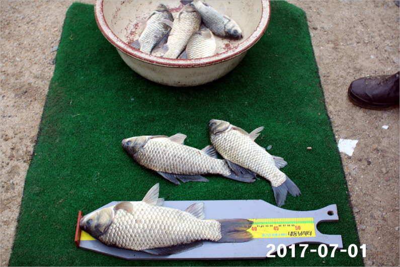 4짜 마릿수 조황 (유료터정보 - 유료터점주조황)