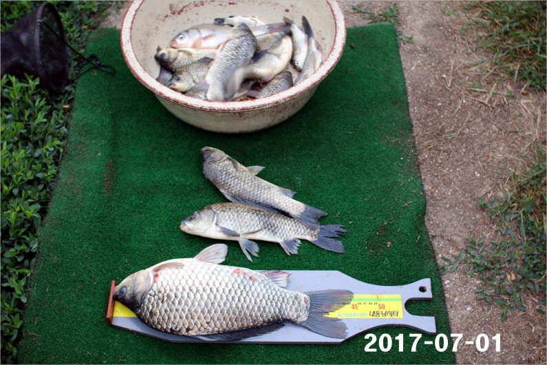 4짜 마릿수 조황 (유료터정보 - 유료터점주조황)
