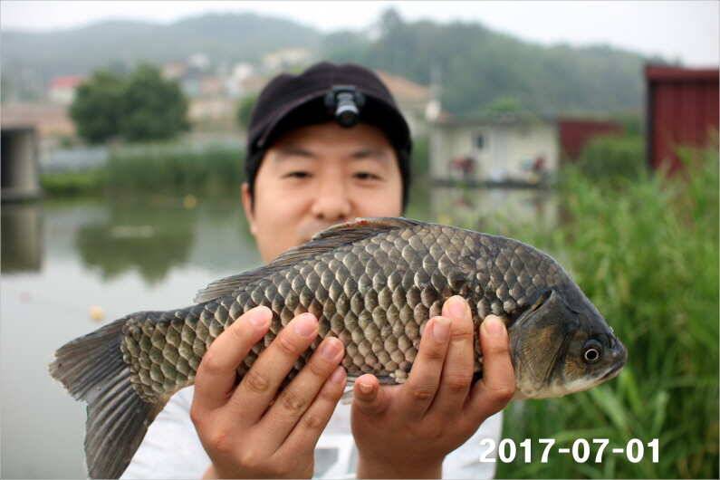 4짜 마릿수 조황 (유료터정보 - 유료터점주조황)