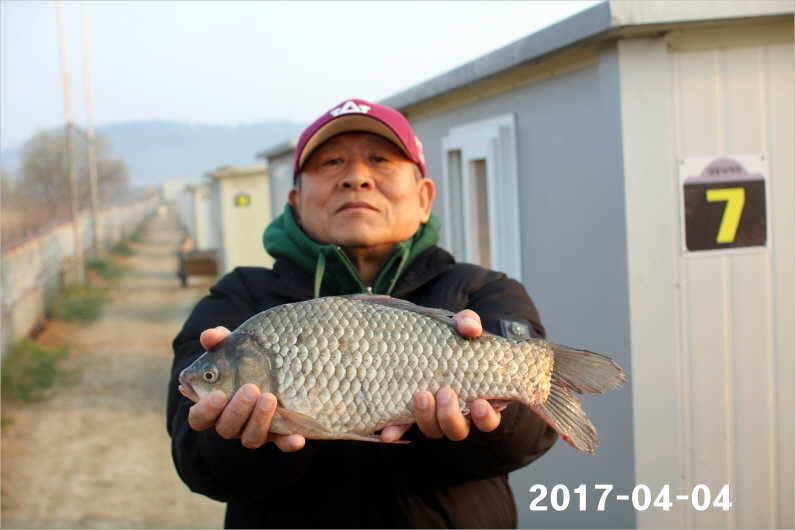 4짜 100마리 (유료터정보 - 유료터점주조황)