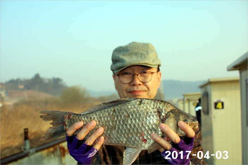 4짜 100마리 (유료터정보 - 유료터점주조황)