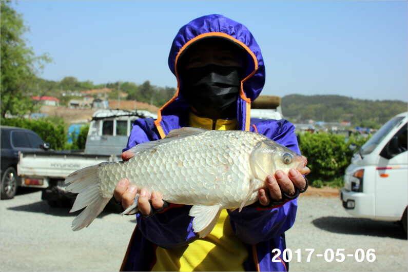 여성 조사도 4짜 왕 (유료터정보 - 유료터점주조황)