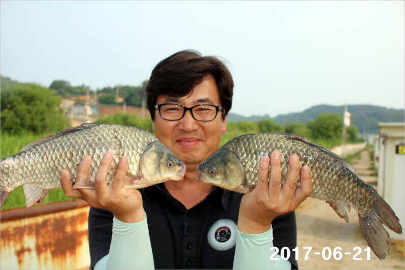 1년 12달 만수 (유료터정보 - 유료터점주조황)