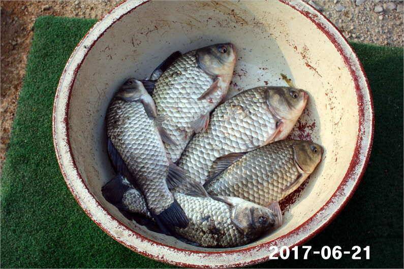 1년 12달 만수 (유료터정보 - 유료터점주조황)