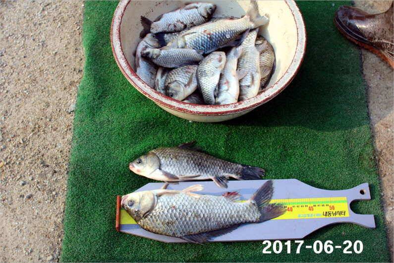1년 12달 만수 (유료터정보 - 유료터점주조황)