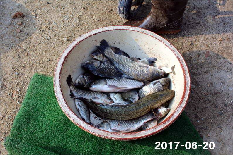 1년 12달 만수 (유료터정보 - 유료터점주조황)