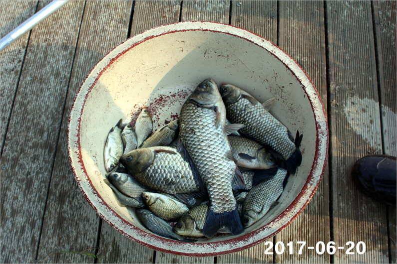 1년 12달 만수 (유료터정보 - 유료터점주조황)
