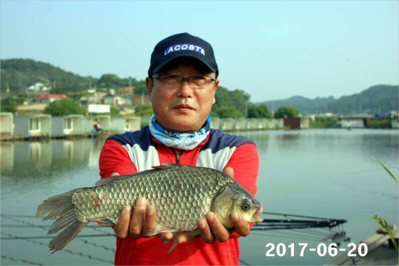 1년 12달 만수 (유료터정보 - 유료터점주조황)
