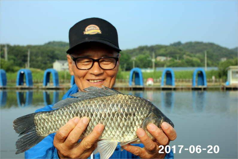 1년 12달 만수 (유료터정보 - 유료터점주조황)