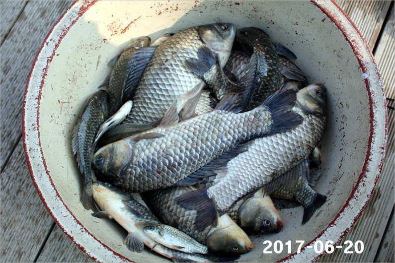 1년 12달 만수 (유료터정보 - 유료터점주조황)