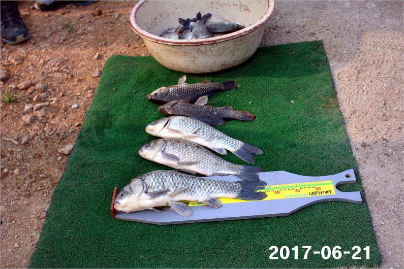1년 12달 만수 (유료터정보 - 유료터점주조황)