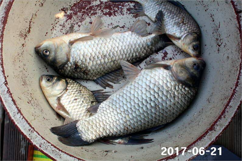 1년 12달 만수 (유료터정보 - 유료터점주조황)