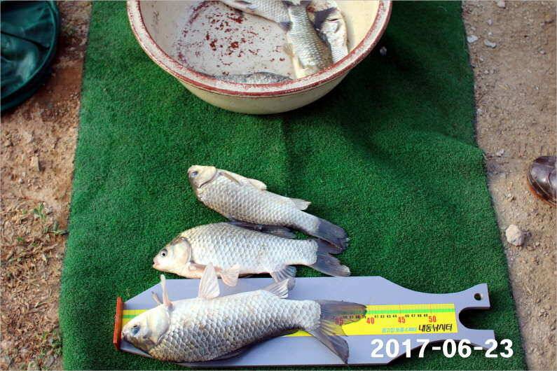 1년 12달 만수 (유료터정보 - 유료터점주조황)