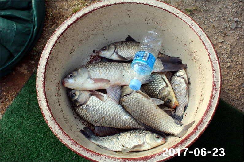 1년 12달 만수 (유료터정보 - 유료터점주조황)