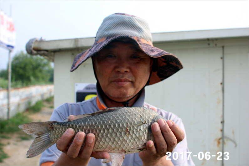1년 12달 만수 (유료터정보 - 유료터점주조황)