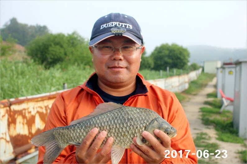 1년 12달 만수 (유료터정보 - 유료터점주조황)