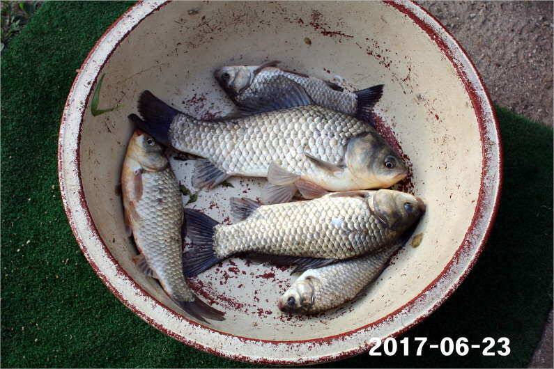 1년 12달 만수 (유료터정보 - 유료터점주조황)