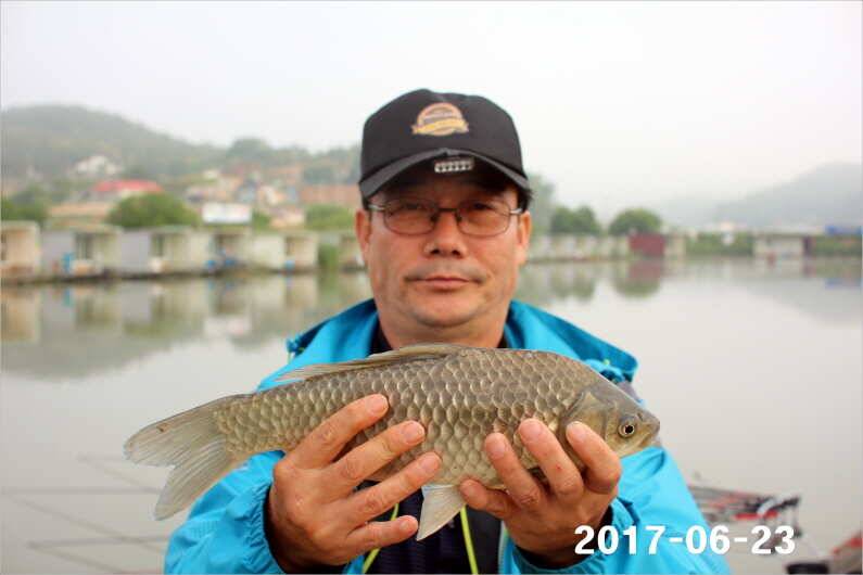 1년 12달 만수 (유료터정보 - 유료터점주조황)