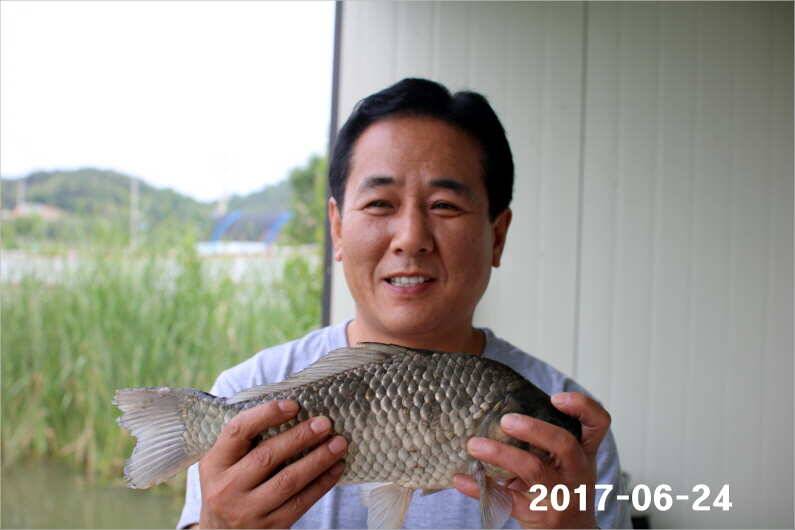 조황과 방류 (유료터정보 - 유료터점주조황)