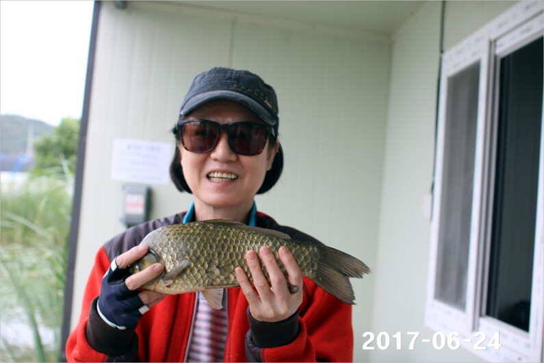 조황과 방류 (유료터정보 - 유료터점주조황)