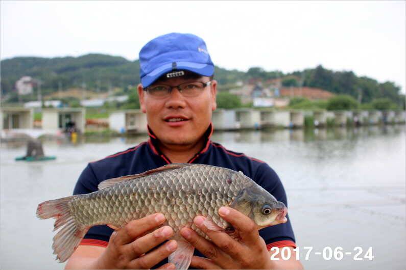 조황과 방류 (유료터정보 - 유료터점주조황)