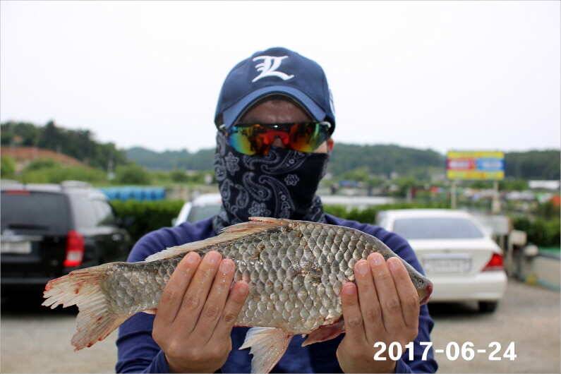 조황과 방류 (유료터정보 - 유료터점주조황)