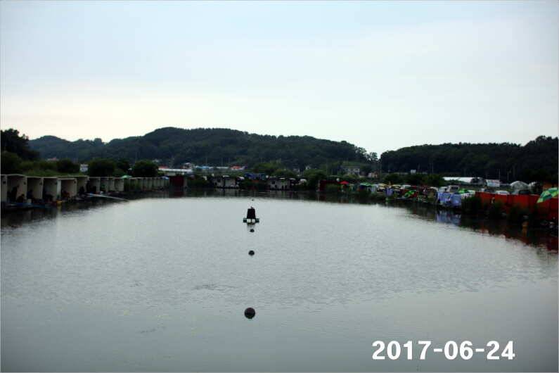 조황과 방류 (유료터정보 - 유료터점주조황)