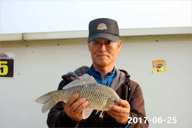조황과 방류 (유료터정보 - 유료터점주조황)