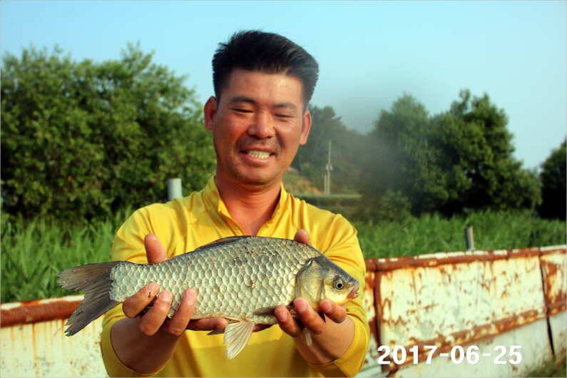 조황과 방류 (유료터정보 - 유료터점주조황)