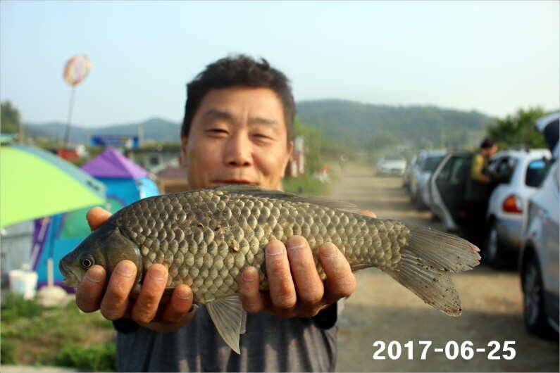 조황과 방류 (유료터정보 - 유료터점주조황)