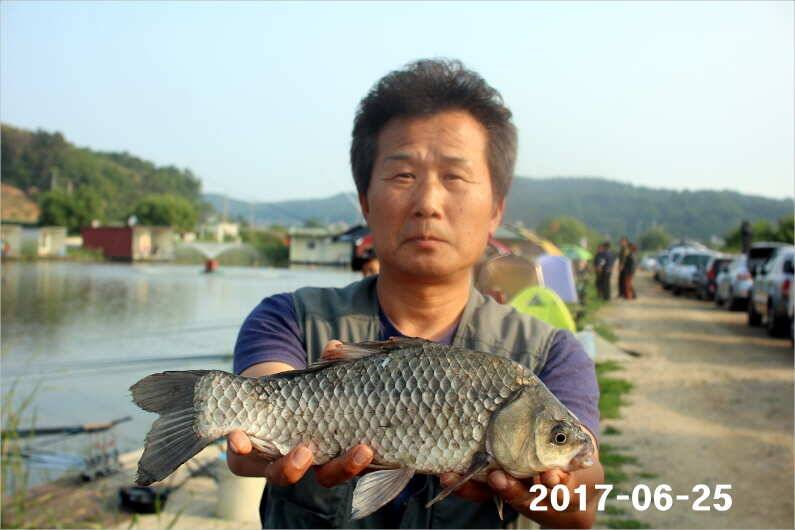 조황과 방류 (유료터정보 - 유료터점주조황)