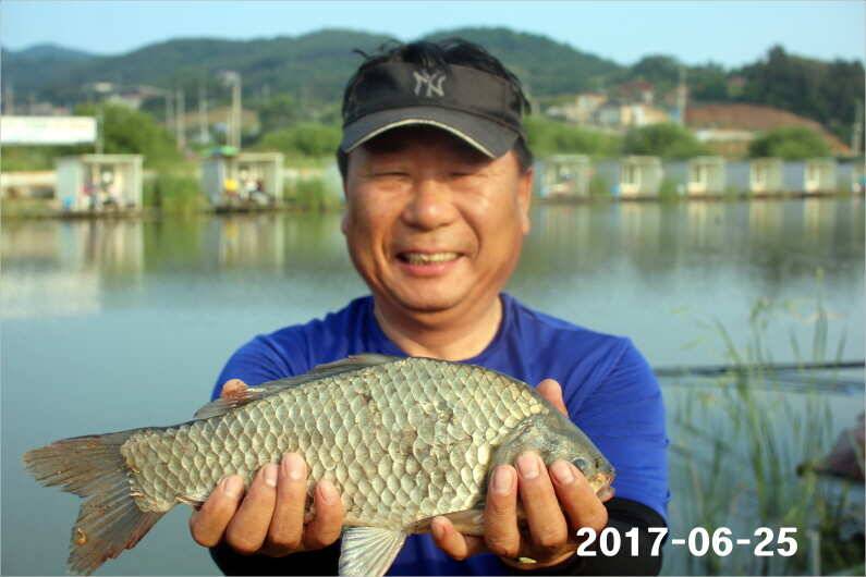 조황과 방류 (유료터정보 - 유료터점주조황)