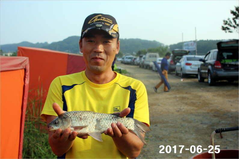 조황과 방류 (유료터정보 - 유료터점주조황)
