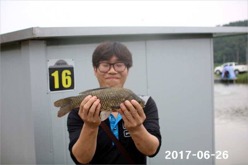 조황과 방류 (유료터정보 - 유료터점주조황)