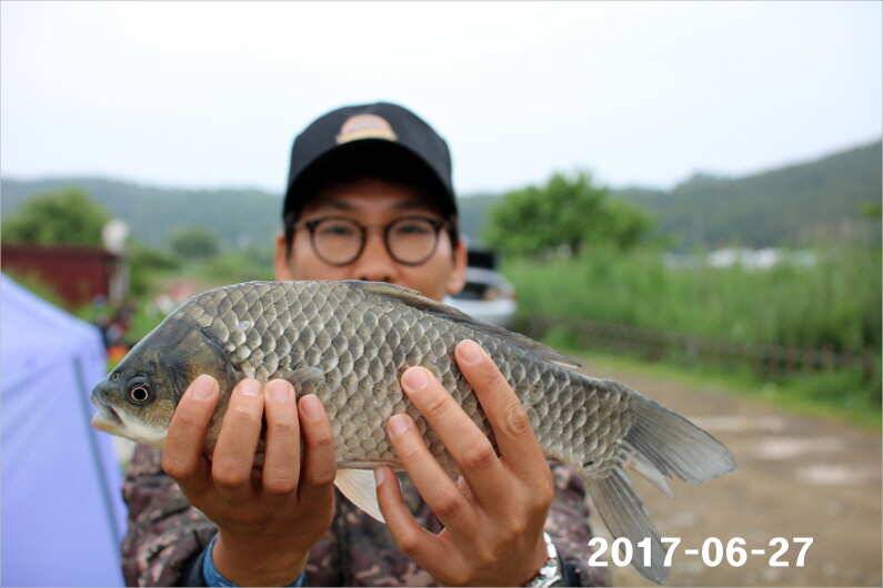 조황과 방류 (유료터정보 - 유료터점주조황)