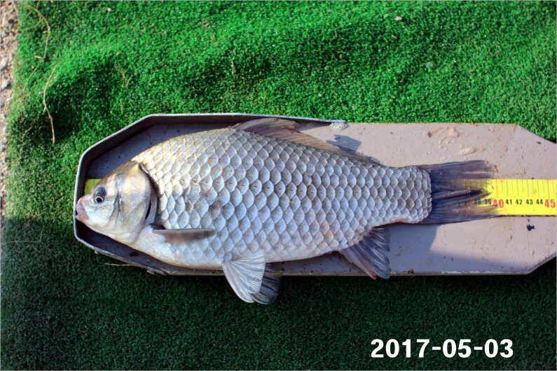 이벤트 2가지 진행중 (유료터정보 - 유료터점주조황)