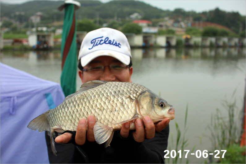 조황과 방류 (유료터정보 - 유료터점주조황)