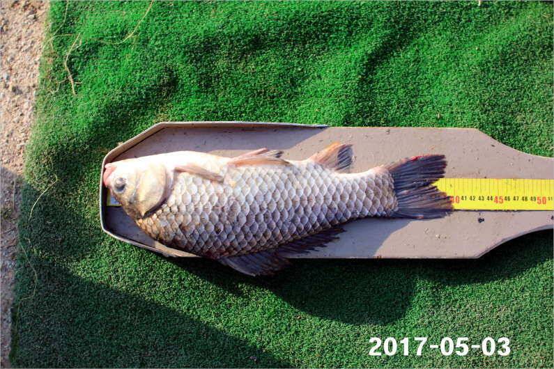 이벤트 2가지 진행중 (유료터정보 - 유료터점주조황)