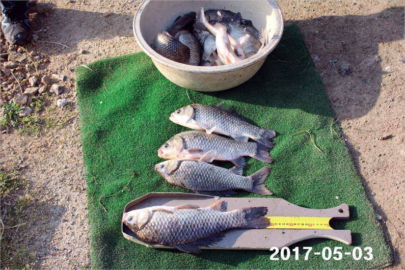 이벤트 2가지 진행중 (유료터정보 - 유료터점주조황)