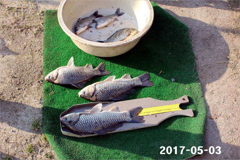 이벤트 2가지 진행중 (유료터정보 - 유료터점주조황)