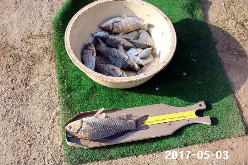 이벤트 2가지 진행중 (유료터정보 - 유료터점주조황)
