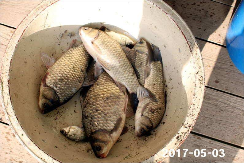 이벤트 2가지 진행중 (유료터정보 - 유료터점주조황)
