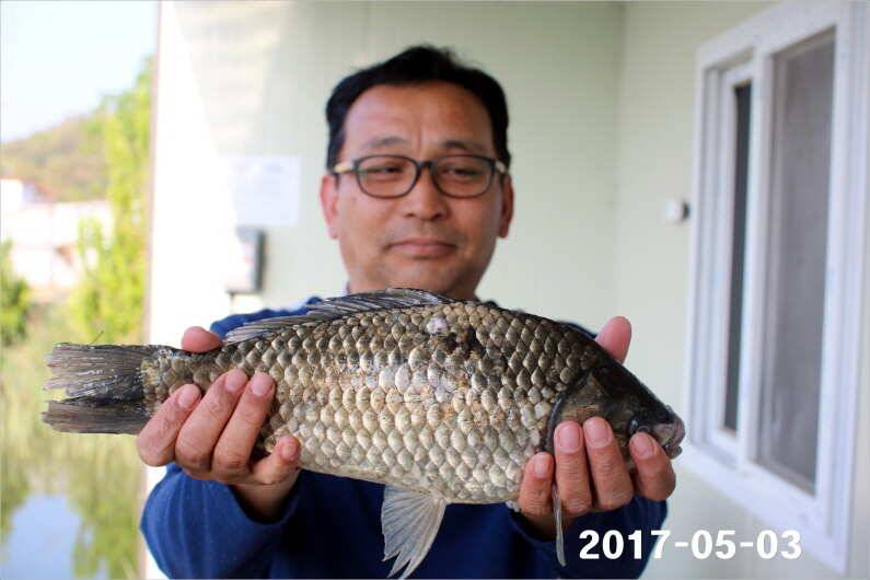 이벤트 2가지 진행중 (유료터정보 - 유료터점주조황)