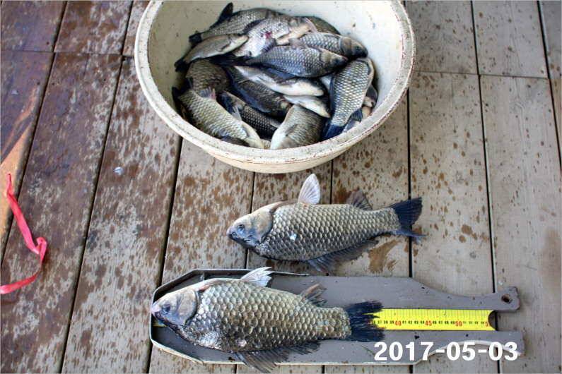 이벤트 2가지 진행중 (유료터정보 - 유료터점주조황)