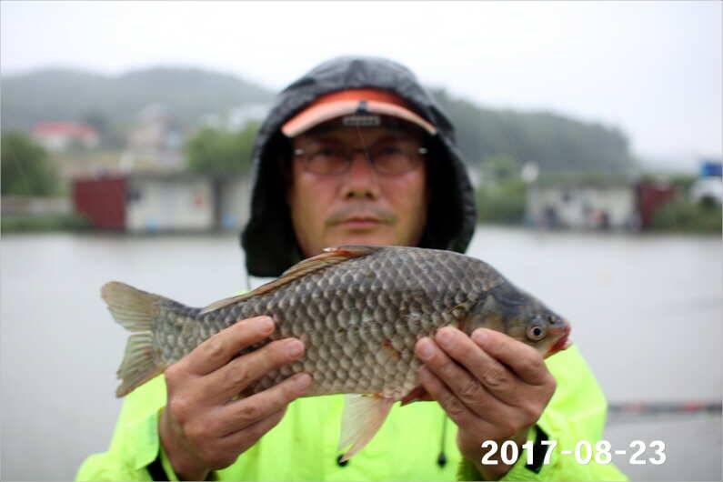낚 시 강 좌 (유료터정보 - 유료터점주조황)