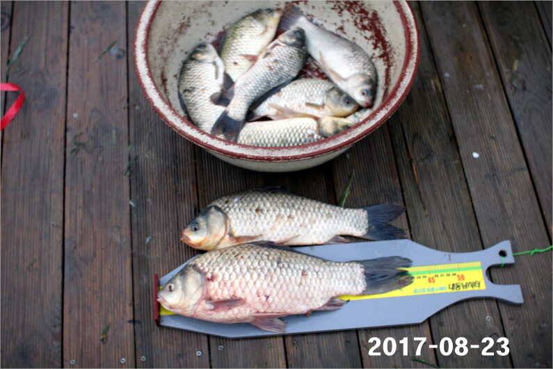 낚 시 강 좌 (유료터정보 - 유료터점주조황)